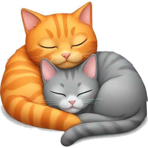 Orange cat and gray cat sleeping together  emoji