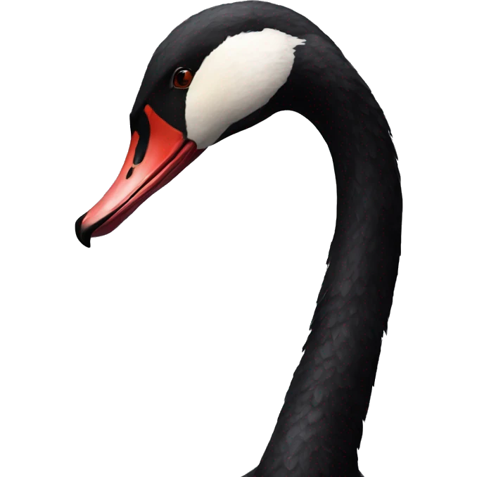 Black swan emoji