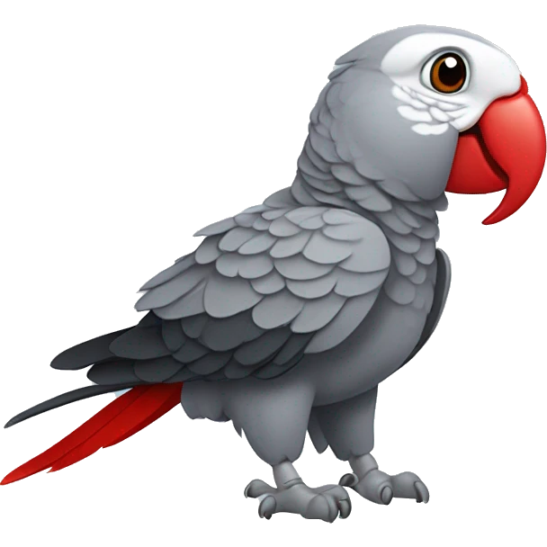 African grey parrot with red feather on his tail and not on his head emoji