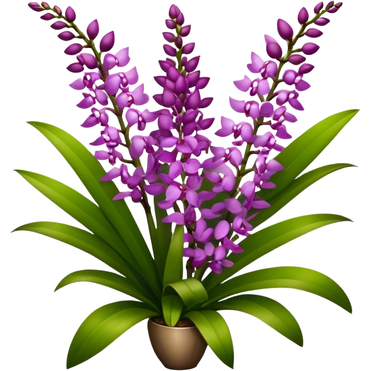 super big bouquet Rhynchostylis Orchid, stem, leaf emoji