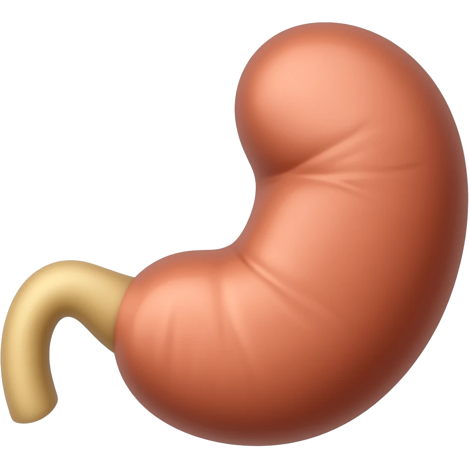 gallbladder anatomy emoji