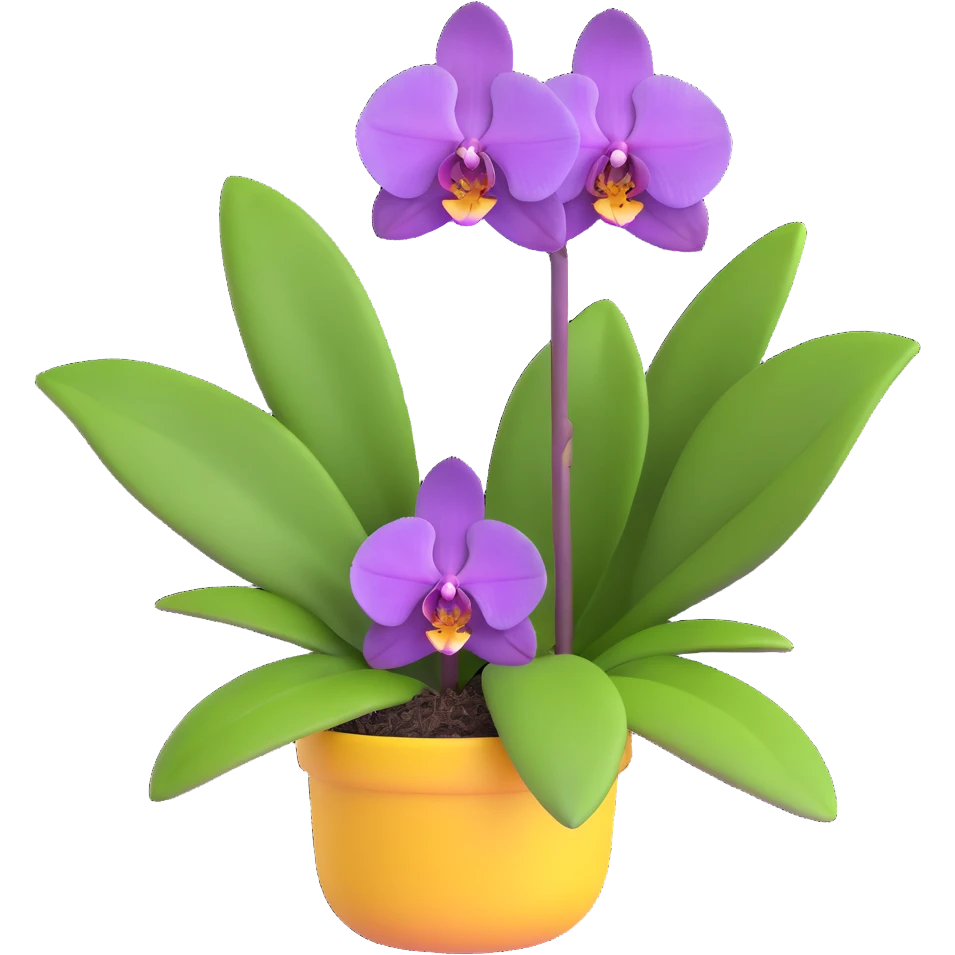 Realistic purple phalaenopsis orchid with rich lavender blooms and prominent large green leaves clearly visible emoji