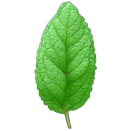 mint emoji