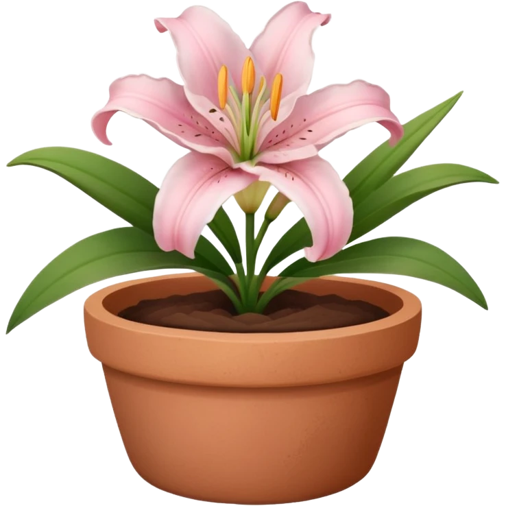 light pink lily in a clay pot emoji