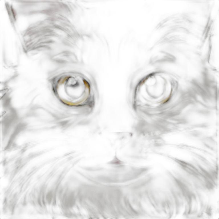 Maine coon emoji