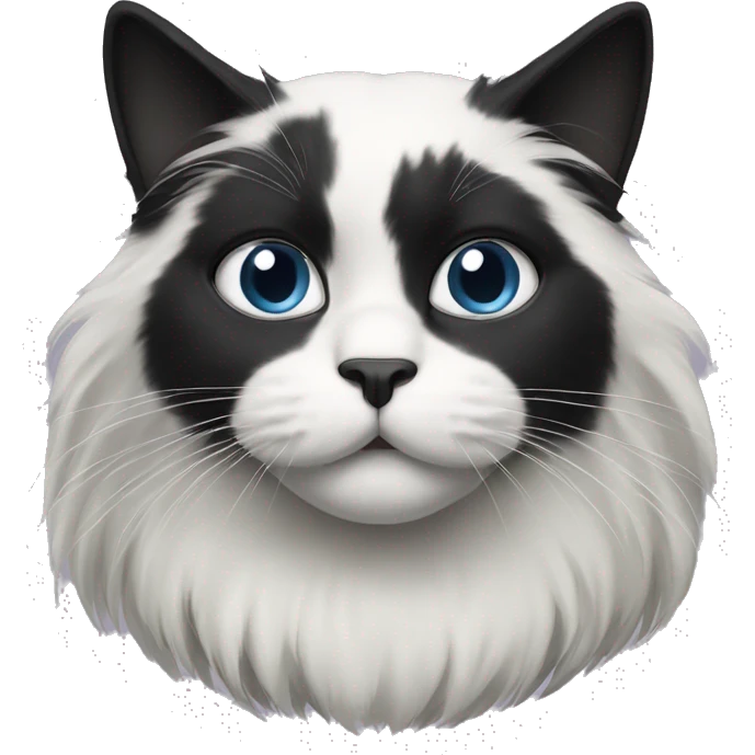 half Black and half white long hair cat with black muzzle emoji