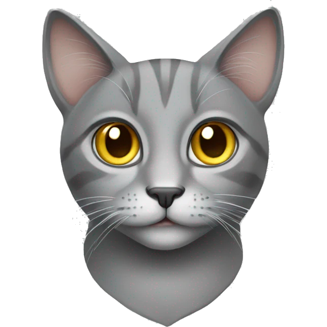 cat whit eyes gray emoji