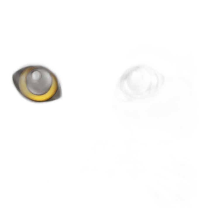 Cat emoji
