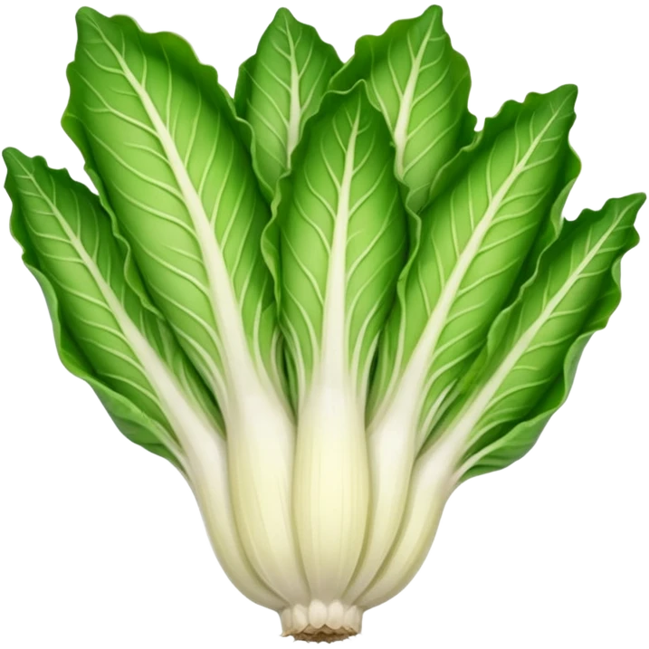 green blegian endive radicchio slim single head  emoji