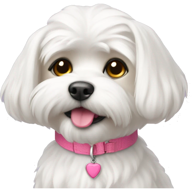 Maltese with pink collar  emoji