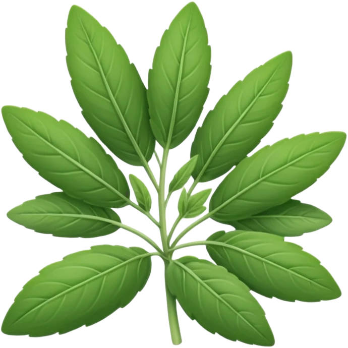 sage herb emoji