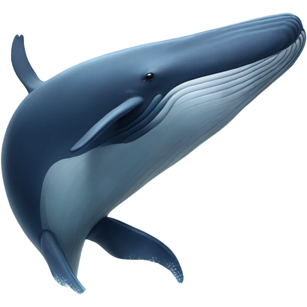 whale emoji