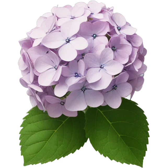 Japan hydrangea  emoji