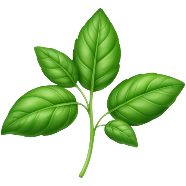Fresh green basil herb leaf emoji