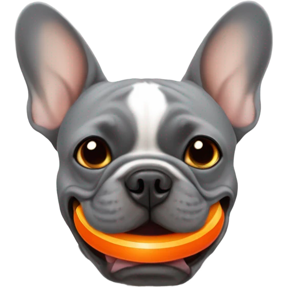 Grey French bulldog with orange ball in its mouth  emoji