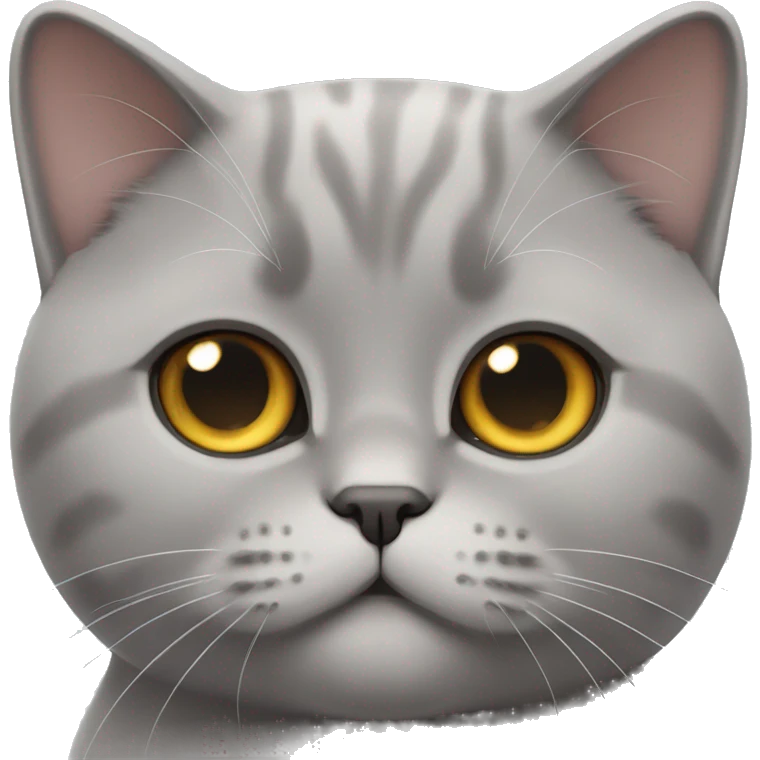British shorthair cat  emoji