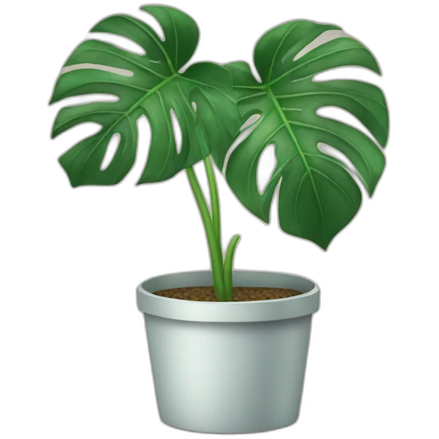 Monstera plant emoji