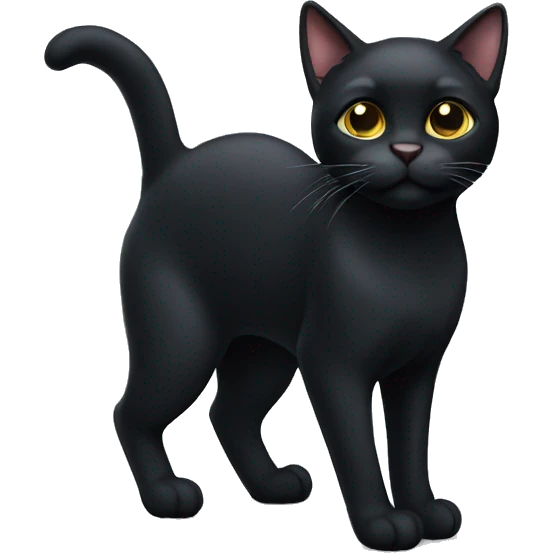 black cat emoji