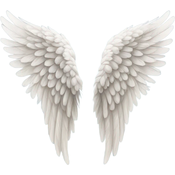 small drawing of wings emoji