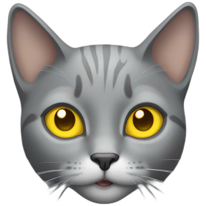 gray cat with small ears and yellow eyes smiles emoji