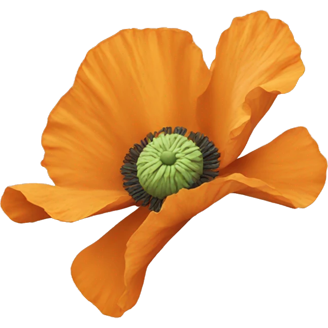Orange poppy emoji
