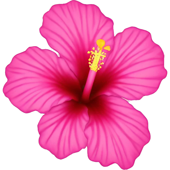 Pink hibiscus flower  emoji