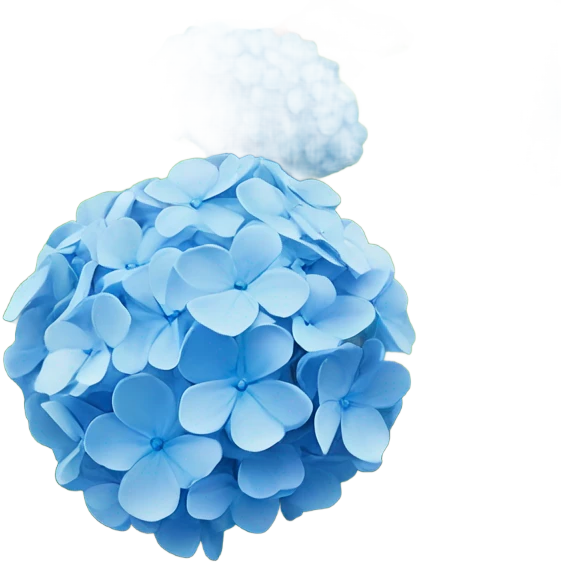 blue hydrangea flower in a garden emoji