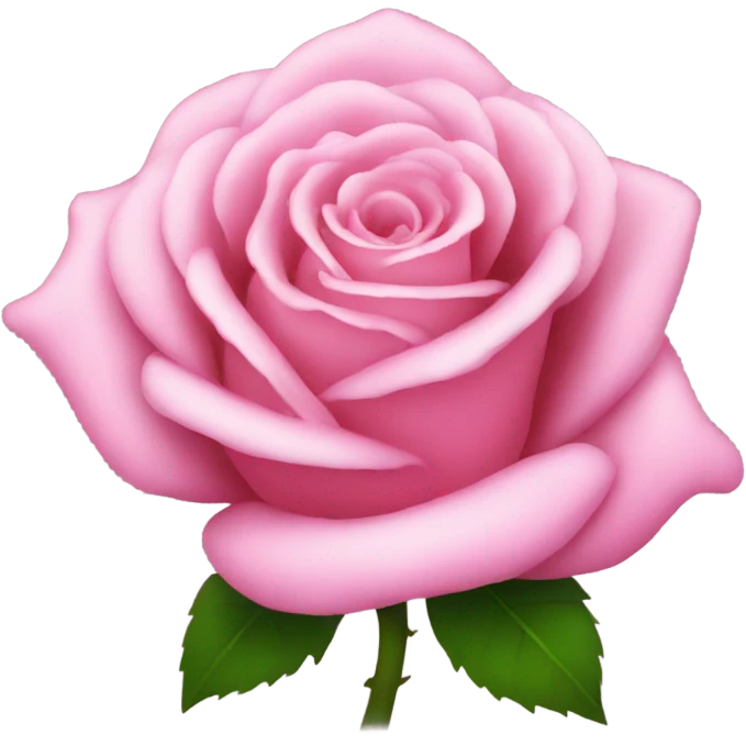 pink rose emoji