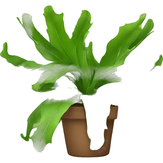 Staghorn fern emoji