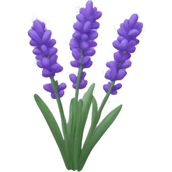Lavender  emoji