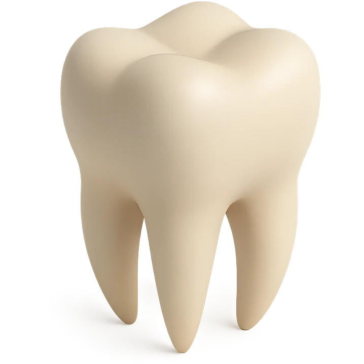 realistic human tooth with subtle shadows emoji