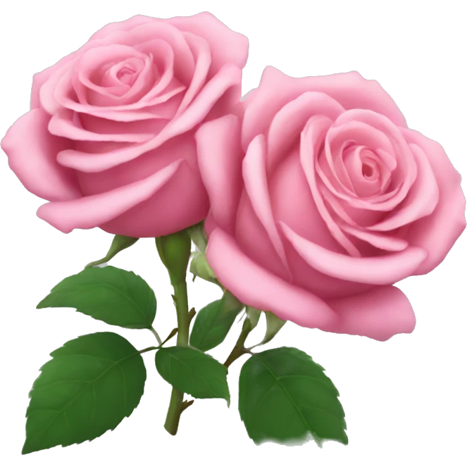Pink roses  emoji