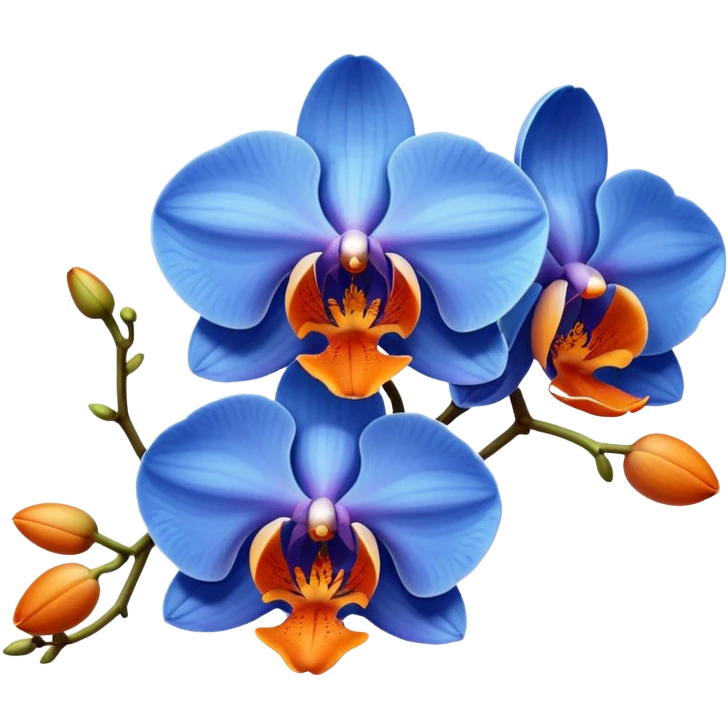 blue and orange colored orchid emoji