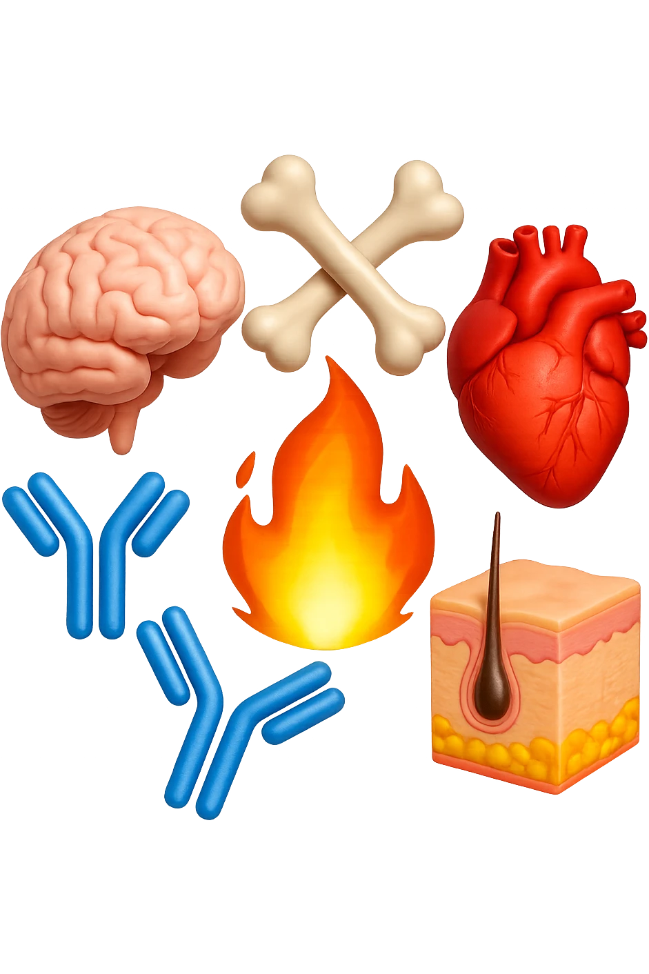 EMOJI STILE IPHONE 3D DI cervello, ossa, cuore, porzione di epidermide e cellule di anticorpi che girano in tondo, al centro di questi elementi c'è una fiamma 3d  FALLO MOLTO REALISTICO IN 3D emoji
