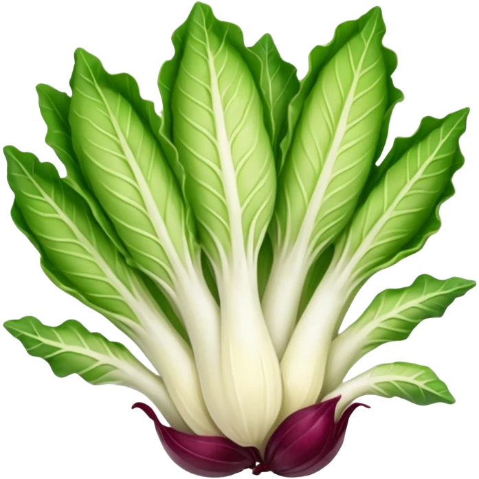 green blegian endive radicchio smooth emoji
