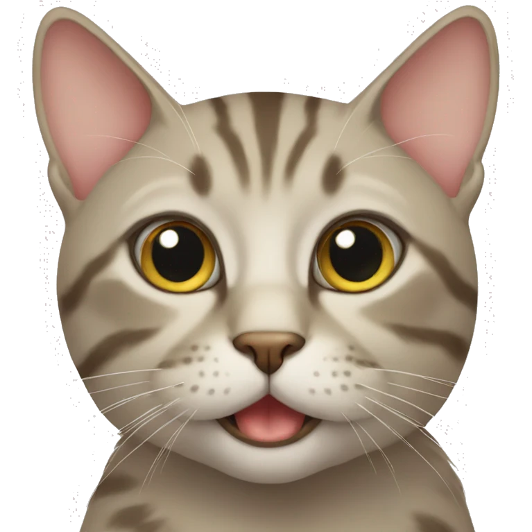 CAT emoji