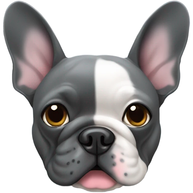 Dark grey French bulldog with hearts emoji