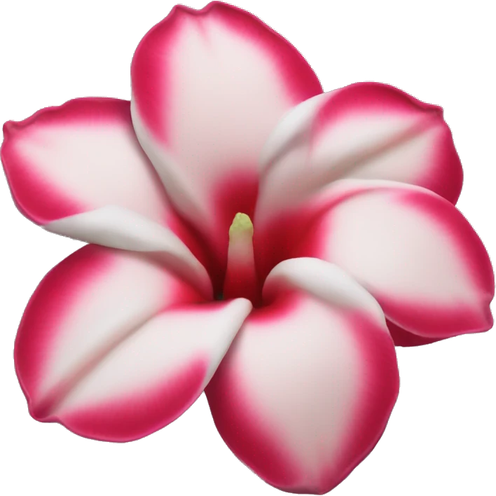 Adenium obesum flower emoji