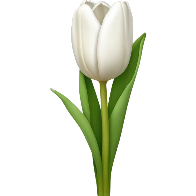 white tulip bouquet  emoji