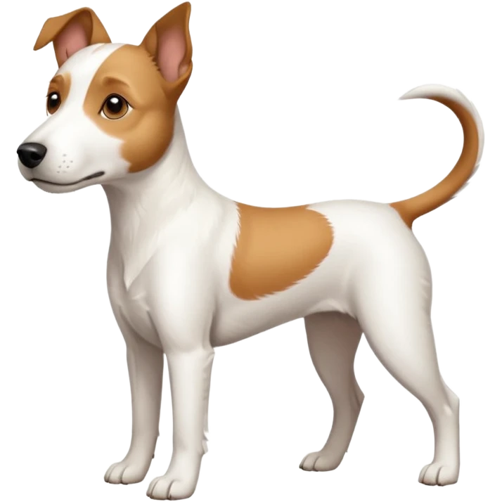 a full body large white parson russell terrier looking dog the size of a kelpie with light brown long ears and a light brown patch on one eye and a large snout emoji