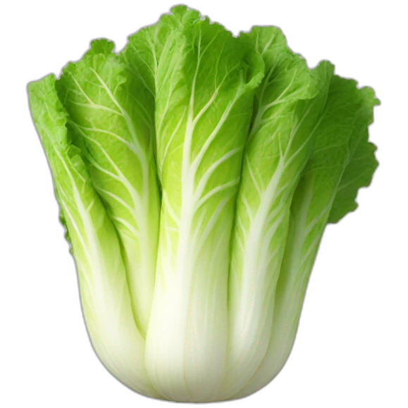 Kimchi napa cabbage emoji