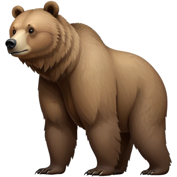 Realistic grizzly bear on four legs with natural fur texture, minimalist design emoji