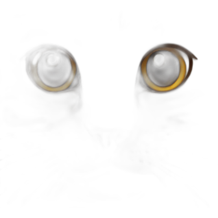 cat with big brown eyes  emoji