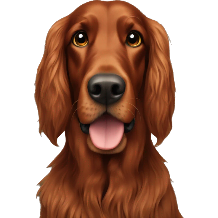Irish setter  emoji
