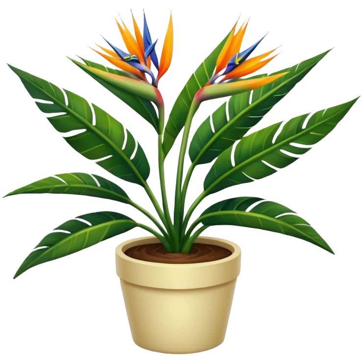 Bird of paradise leafy plant in cream pot no background emoji