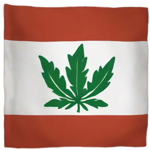 the flag that says kchr emoji