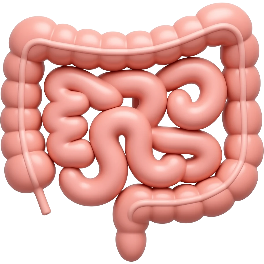 intestino 3D emoji