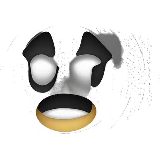 vinyl record emoji