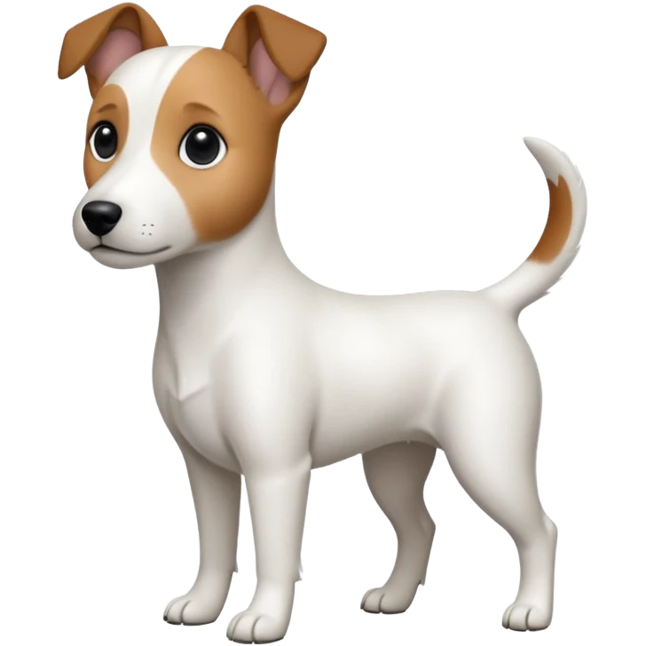a fully white jack russell the size of a kelpie with floppy ears and a half white face emoji