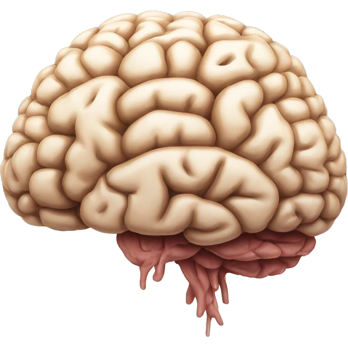 brain rot emoji